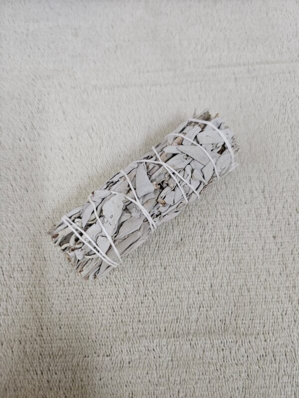 Sage - Image 3