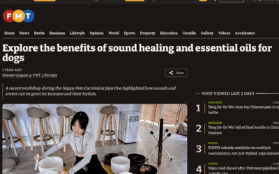 Mystic Blessings by Lynn Featured in FMT: Exploring Sound Healing and Essential Oils for Dogs